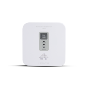 Houseguard Gassalarm 12v/230v